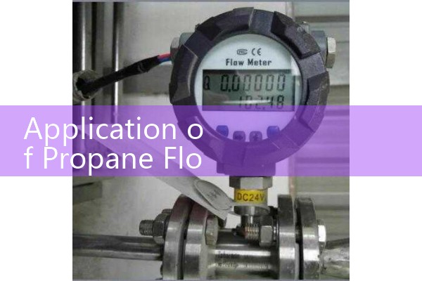 Propane flowmeter